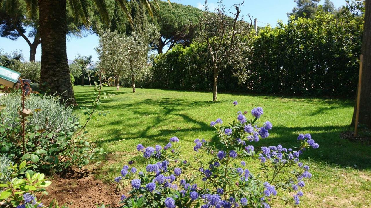 فندق سان فينتْشينسوفي  La Stanza Del Podere Isabella المظهر الخارجي الصورة